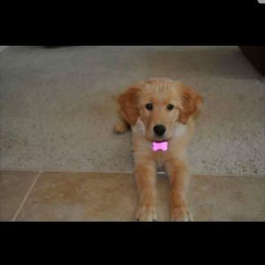 Meet your Posher, Tina